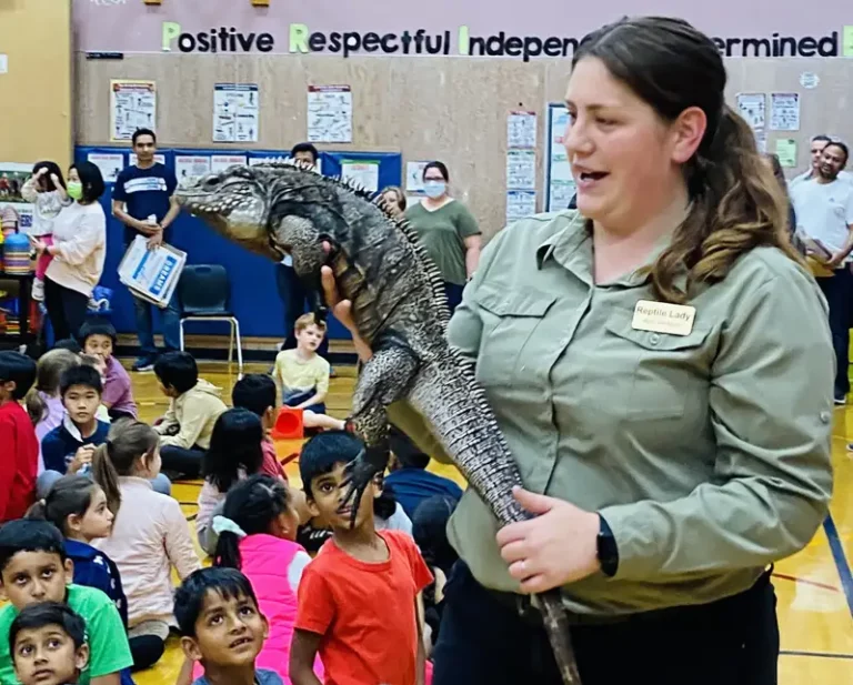 woman showing a large reptile to a group of kids